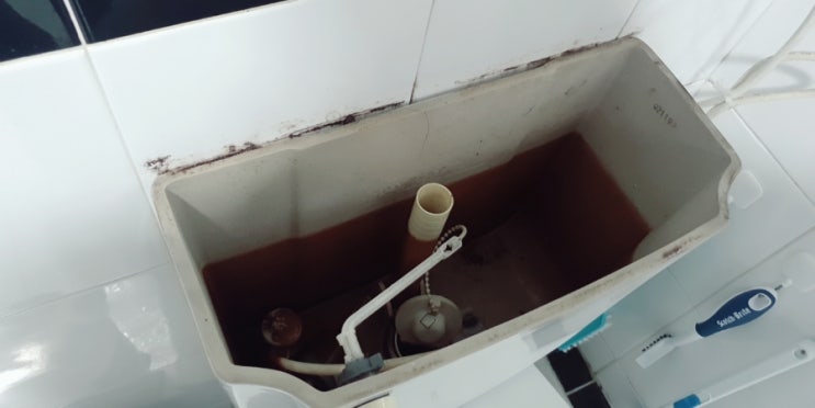  양변기 필밸브 외 몽땅 교체 / 용산 산호아파트 / 용산엔 파란몽키 출장집수리