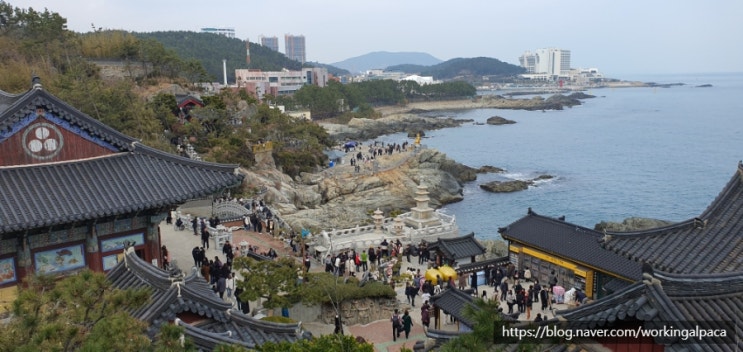  [부산 여행] 해동용궁사(feat. 해운대블루라인파크 송정정거장에서!)
