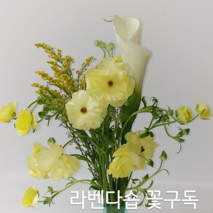  라벤다숍 꽃구독 정보
