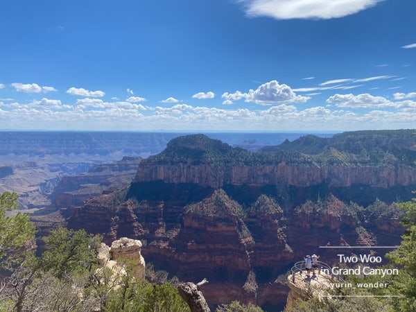  [미국 라스베가스 여행] 그랜드 캐년 노스림 Crand Canyon North Rim 나바호 브릿지 Navajo Bridge