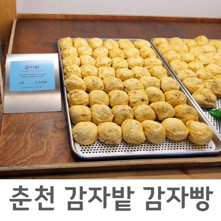  춘천 감자밭 감자빵                      (춘천빵지순례 #1)