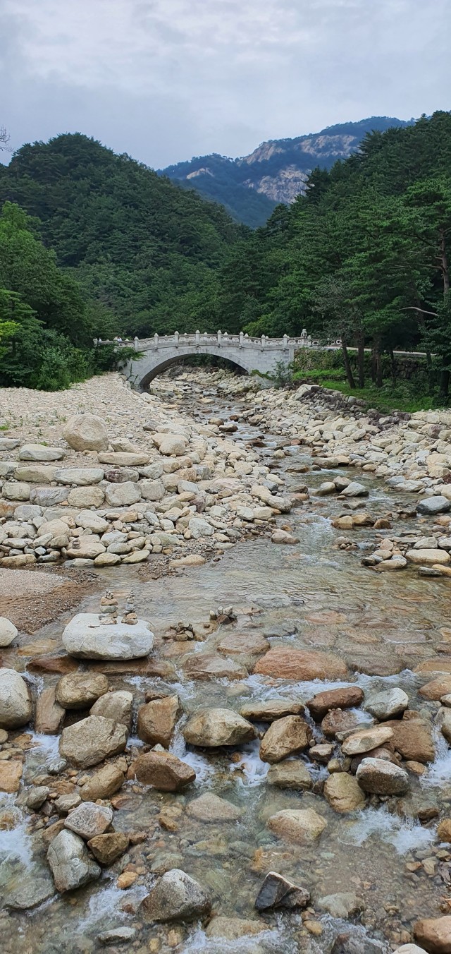  다리 - 화수필