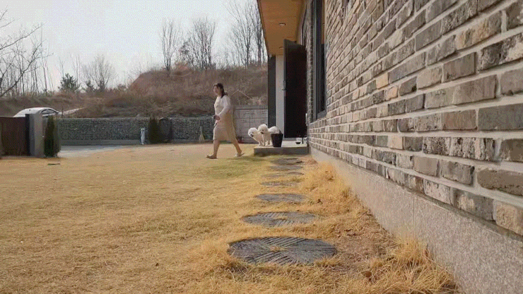  애견동반 청도숙소 독채펜션 림스테이 재방문각
