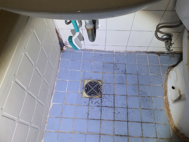 세탁기 있는 화장실배수관막힘 물고여 안빠짐 전문해결 부천 부평 일산