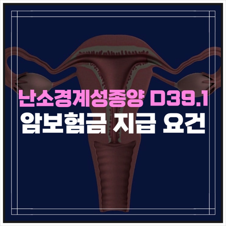 난소경계성종양 (mucinous) D39.1 암보험금 지급 요건