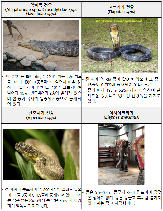 국제적 멸종위기종 인공증식 허가대상 등 사육규정 개정_환경부 국제적 멸종위기종 인공증식 허가대상 등 사육규정 개정_환경부