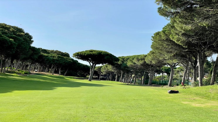  그랜드cc회원권 안내