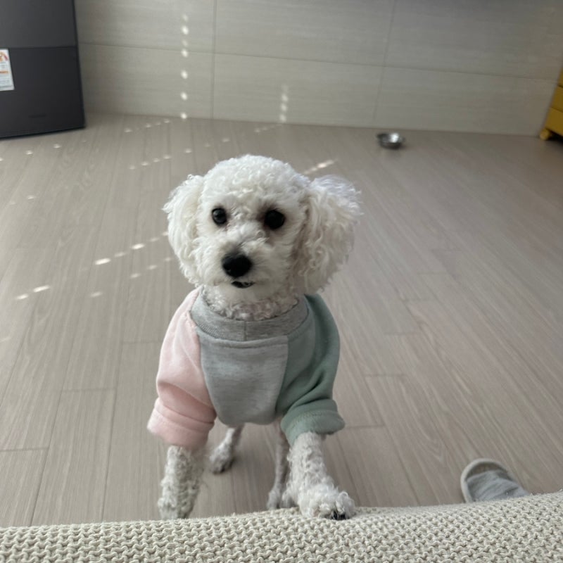 사진 3