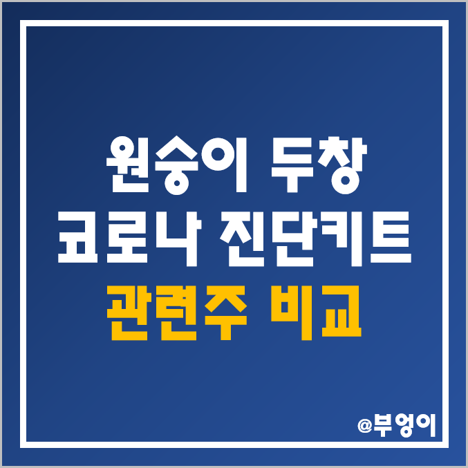 원숭이 두창 코로나 진단키트 관련주 비교 : 미코바이오메드 휴마시스 엑세스 현대바이오 씨젠 바이오니아 파미셀 HK이노엔 녹십자 엠에스 팜젠 주가 배당금 시가총액 PER PBR 순위 원숭이 두창 코로나 진단키트 관련주 비교 : 미코바이오메드 휴마시스 엑세스 현대바이오 씨젠 바이오니아 파미셀 HK이노엔 녹십자 엠에스 팜젠 주가 배당금 시가총액 PER PBR 순위