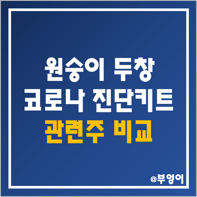 원숭이 두창 코로나 진단키트 관련주 비교 : 미코바이오메드 휴마시스 엑세스 현대바이오 씨젠 바이오니아 파미셀 HK이노엔 녹십자 엠에스 팜젠 주가 배당금 시가총액 PER PBR 순위