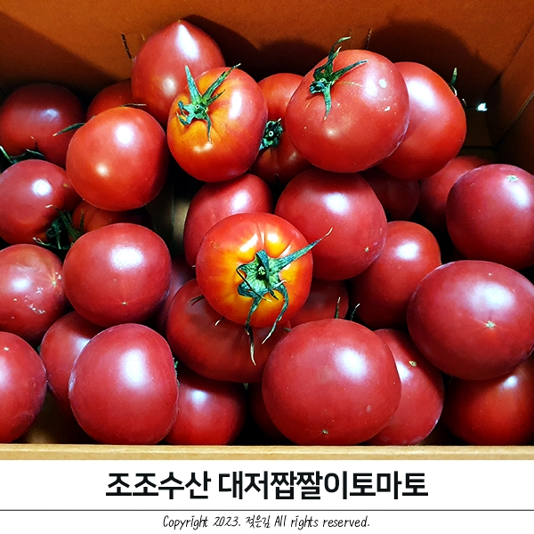조조수산 대저 짭짤이토마토 주스만들기 조조수산 대저 짭짤이토마토 주스만들기