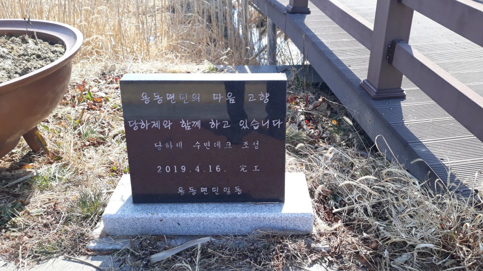 당하제 사진 6