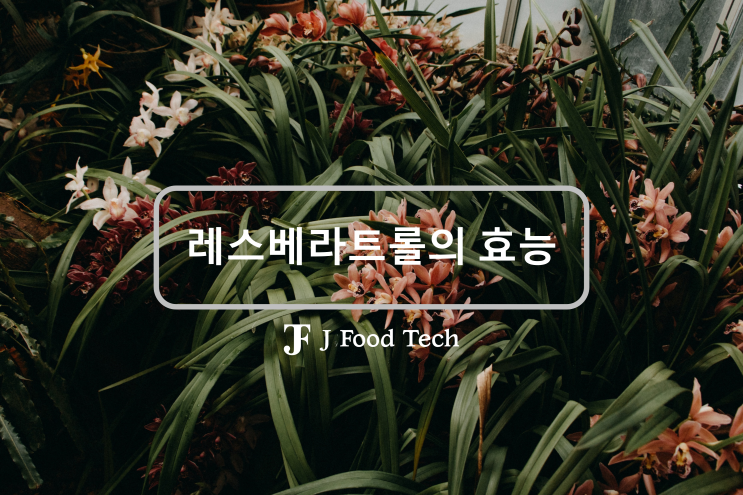 임상시험에서 밝혀진 레스베라트롤 효능 7가지 쉬운 정리 임상시험에서 밝혀진 레스베라트롤 효능 7가지 쉬운 정리