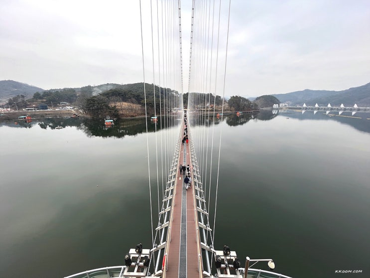 예산 예당호 출렁다리, 황금나무 - 예당저수지 볼거리 예산 예당호 출렁다리, 황금나무 - 예당저수지 볼거리