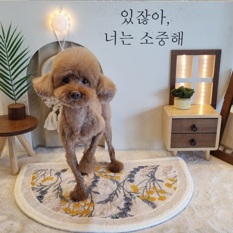 사진 4