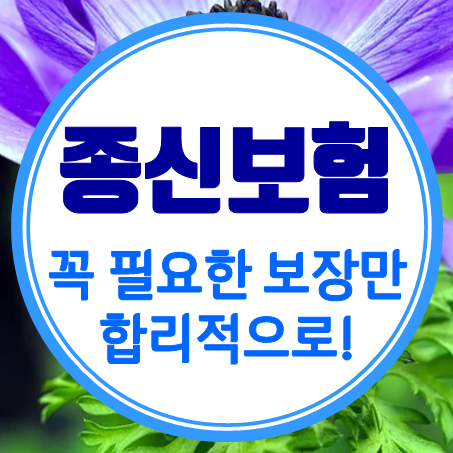  사망보험추천 남자 여자 상황별 종신보험가입 조건을 비교할 수 있어요.