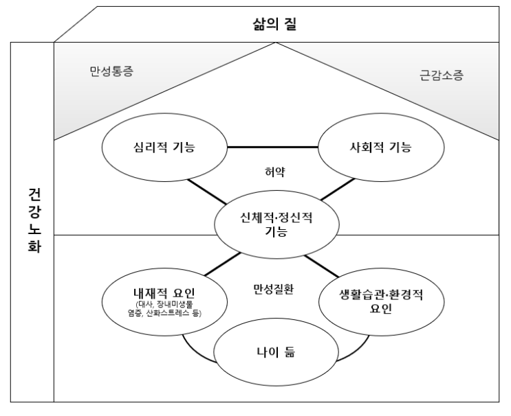  잘 나이들어 가는 법 - 성공적인 노화