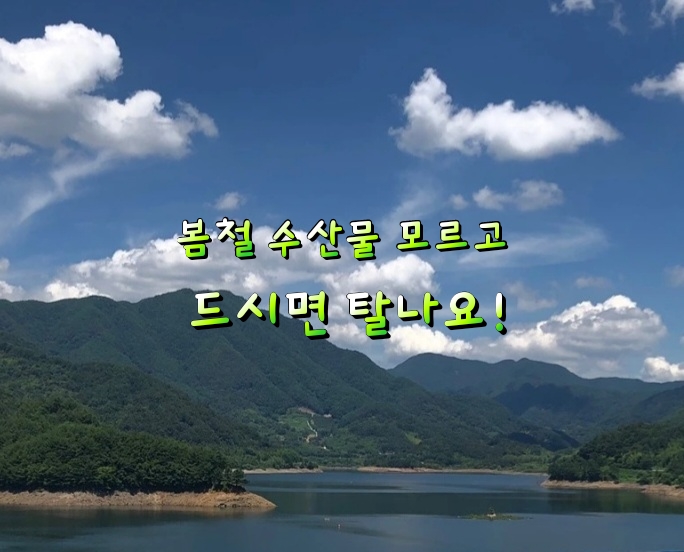 봄철 수산물 모르고 드시면 탈나요! 봄철 수산물 모르고 드시면 탈나요!