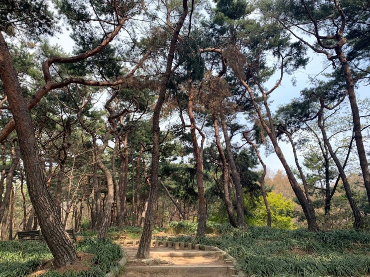  근로자 입사일자 변경 / 취득일자 변경 (국민연금, 건강보험)
