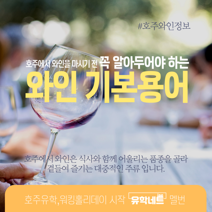  호주 와인 용어, 어떤 표현들이 자주 쓰일까요? (유학네트 멜버른)