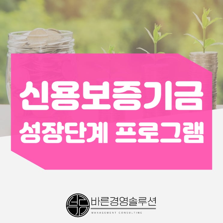  신보 성장단계 프로그램, 대표님만 신청 안했습니다.