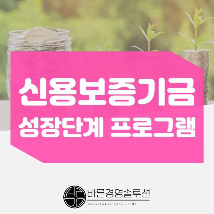 신보 성장단계 프로그램, 대표님만 신청 안했습니다.