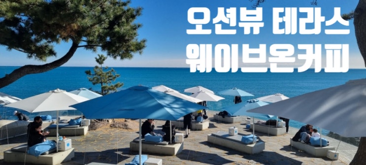 웨이브온커피 동해안 오션뷰카페 부산기장 핫플