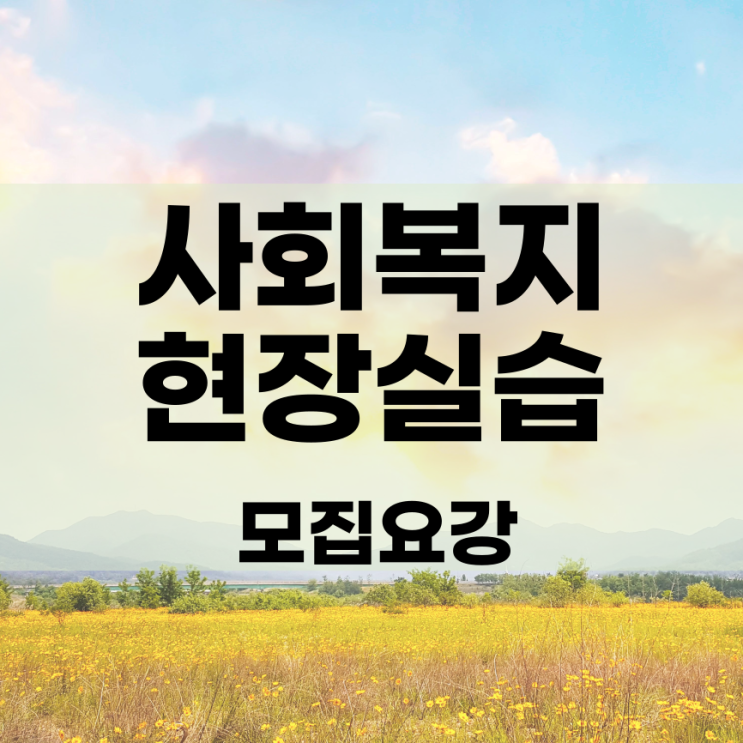  사회복지현장실습 문의는 하뉴링에게 해주세요