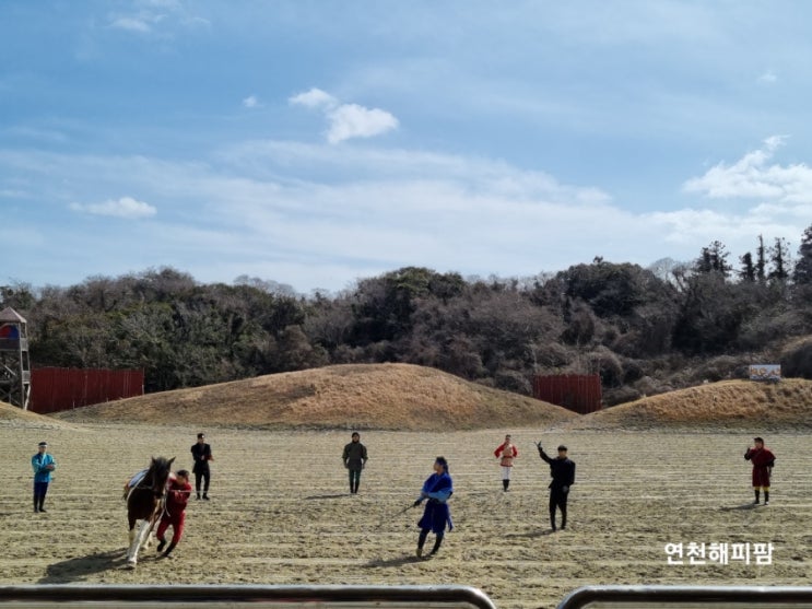  제주여행 아이와가볼만한곳 더마파크 말공연