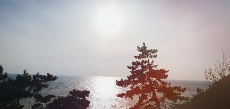  《260》① 예수 성심의 열망_ 365일 동안 하루에 한 꼭지씩_특히
