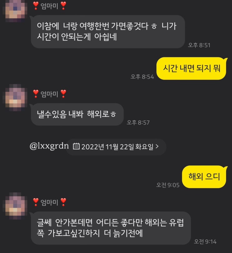   스위스 4인 가족여행 / 01. 항공권 구매(여행지 및 여행자 선정 에피소드)