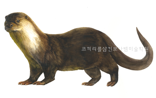  청담동미술학원 예중예고입시 미술학원 - 수채화 연습