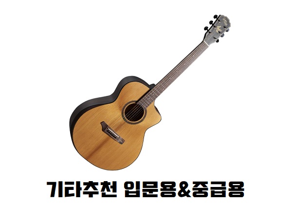 기타 추천 입문용기타 고퍼우드 i265RC 기타독학 기타배우기