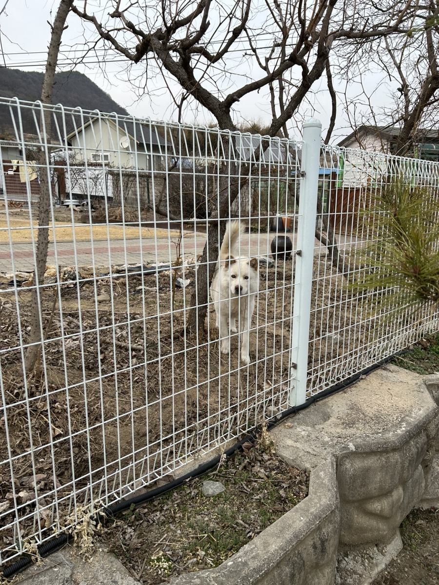 이은희해물전문 사진 2