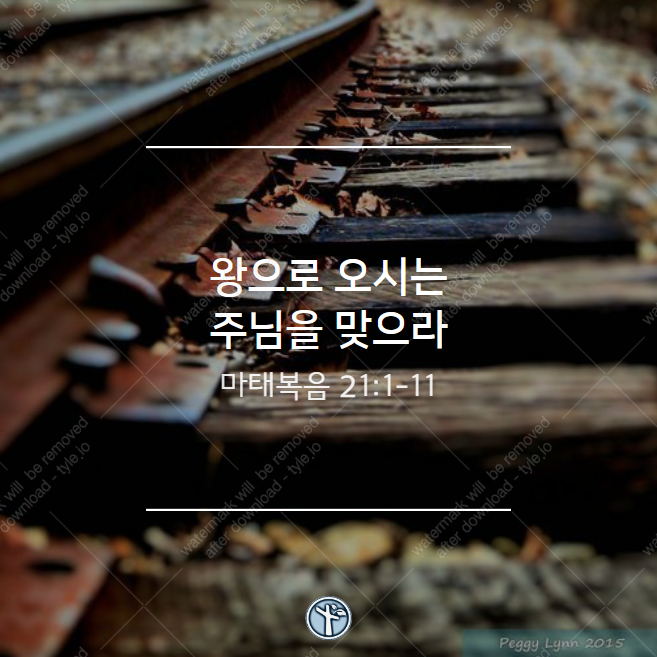  왕으로 오시는 주님을 맞으라 / 마 21:1-11