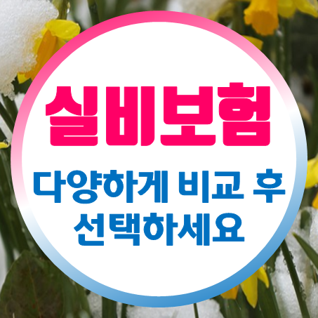  실비보험비교 방법 및 실비보험 종류대로 확인 후 가입할 수 있어요.