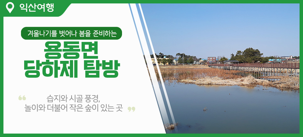 당하제 사진 1
