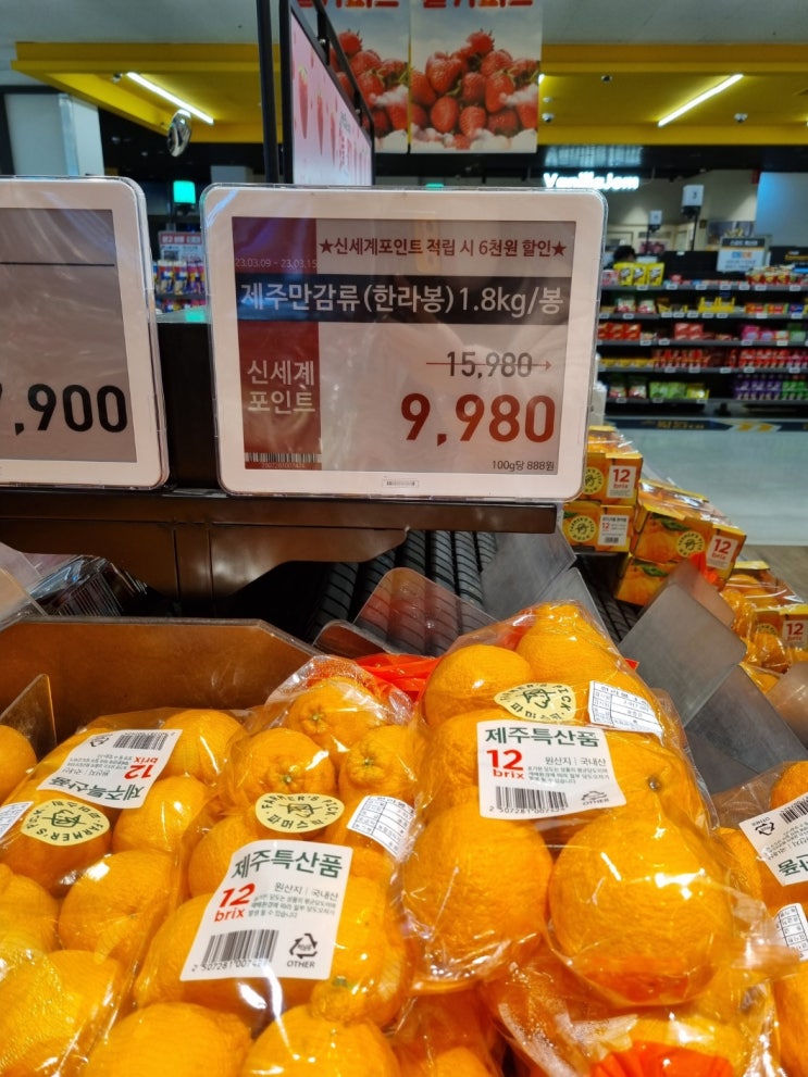  이마트 한라봉 세일
