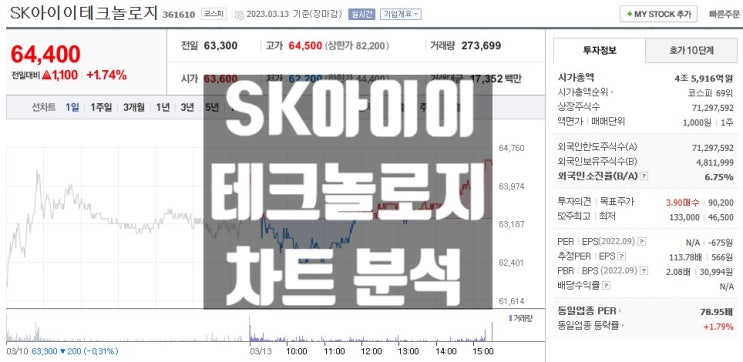  전기차 밧데리 관련주 주가 차트 집중 분석