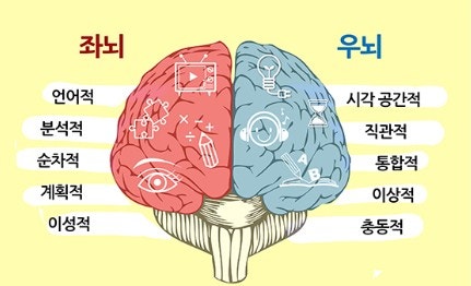 뇌졸중의로 인한 우측 편마비와 좌측 편마비의 차이점 : 네이버 블로그
