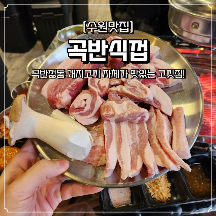  곡반정동 삼겹살 맛집 곡반식껍