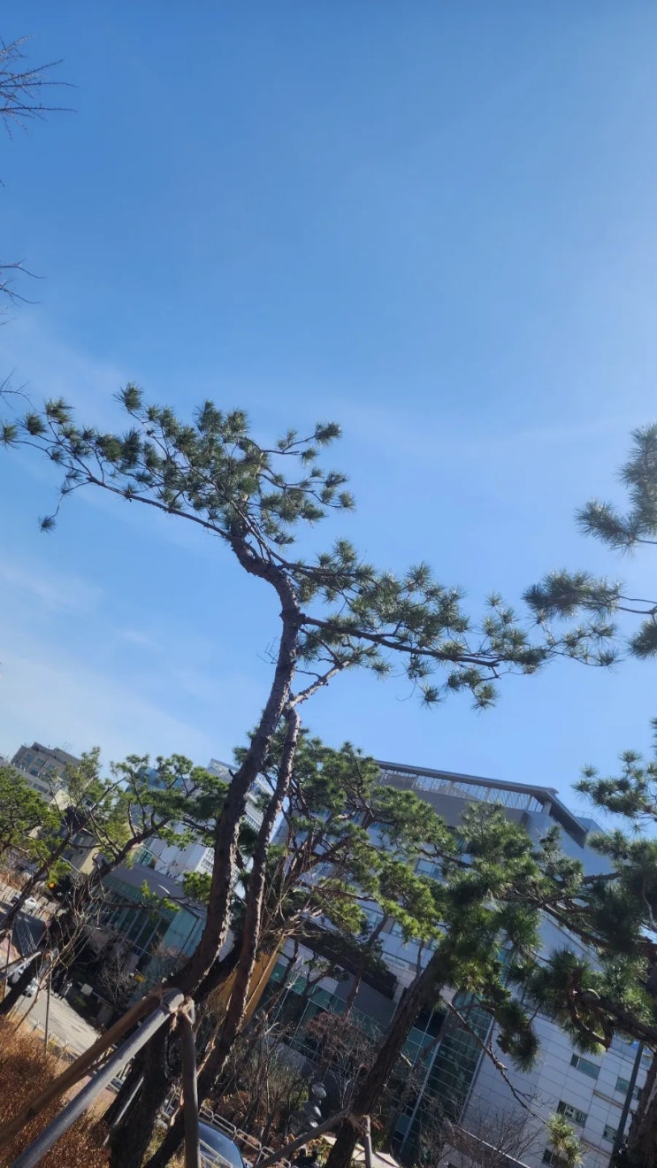 세상과 구별된 하나님의 자녀 되게 하소서 세상과 구별된 하나님의 자녀 되게 하소서