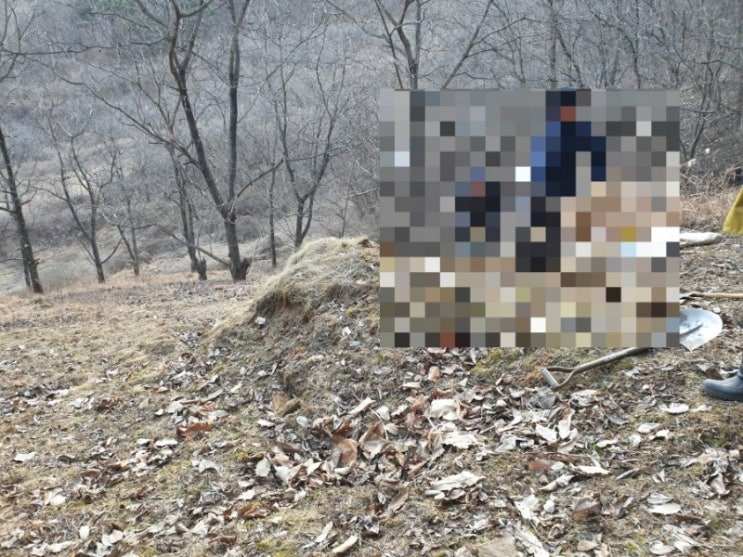 2023년 김천시 대항면 운수리산화장후 납골당안치 고인돌장묘개발장의사 #2023년윤달 #윤달이장 #윤달화장 #김천장의사 #김천이장 #김천화장 #김천개장