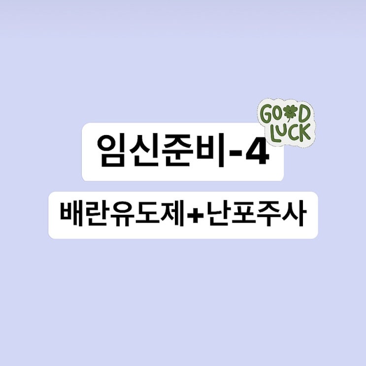  배란유도제 페마라정 진료비-4 난포주사 물혹