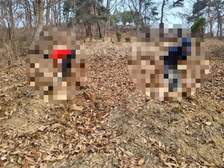  2023년 칠곡군 약목면 무림리 이장 고인돌장묘개발장의사 #2023년윤달 윤달이장 #윤달화장 #김천윤달이장 #김천윤달화장 #윤달 #김천장의사 #구미장의사 #선산장의사