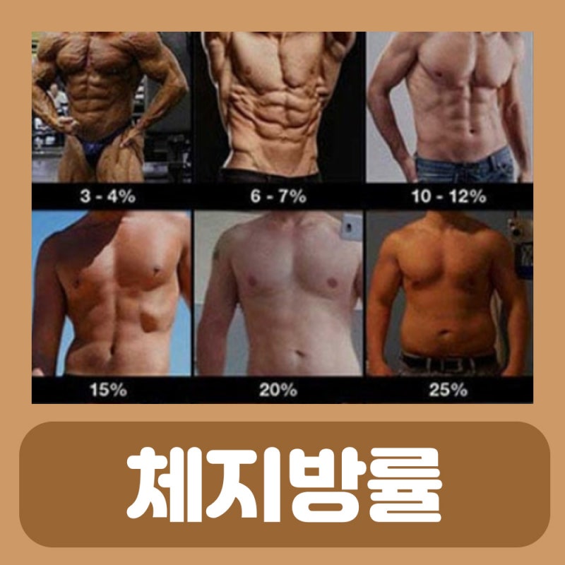 남자 체지방률 평균 10 15 20 25 체지방 줄이는법 : 네이버 블로그 남자 체지방률 평균 10 15 20 25 체지방 줄이는법 : 네이버 블로그