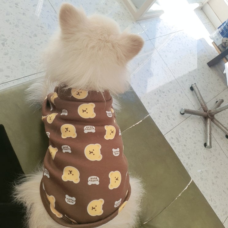  아침부터 동물병원