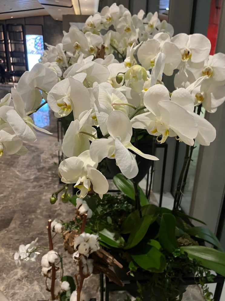  고용증대세액공제 2차연도 사후관리ㅣ상시증가, 청년감소, 청년외 증가한 경우_고용증대세액공제엑셀
