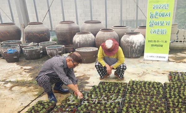  나주시, ‘2023년 농촌에서 살아보기’ 참가자 24일까지 모집