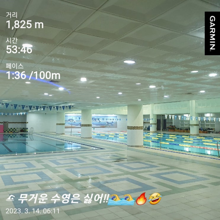 [수영일기] 3월 14일 살찌면 수영이 잘 안됨!